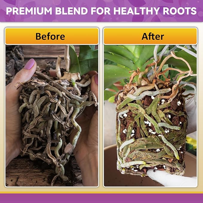 Riare 6QT Orchid Potting Mix Natural Orchid Bark Potting Mix Soil Medium with Pine Bark and Perlite Premium Orchid Repotting Kit for Phalaenopsis Dendrobiums Enhanced Drainage &amp Root Expansion