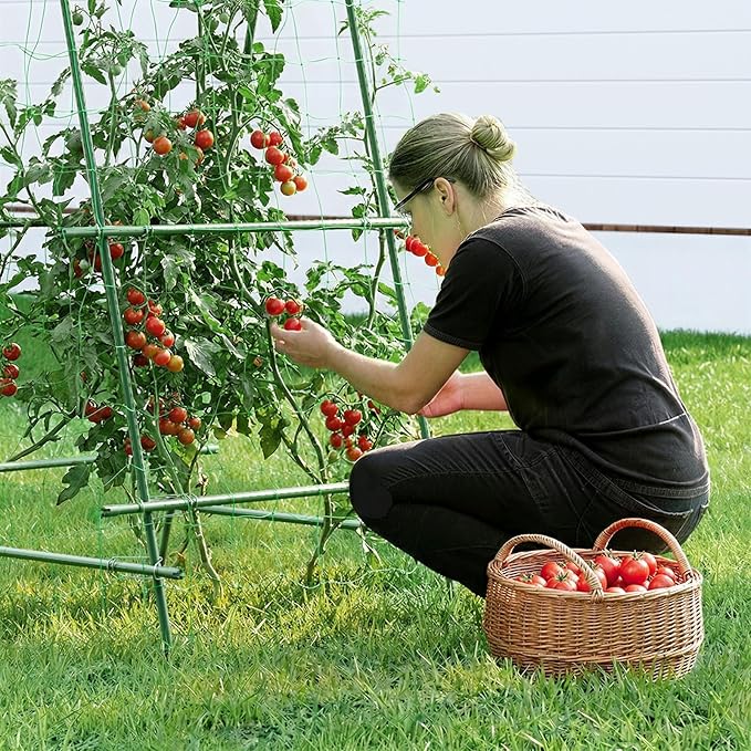 HIRALIY A Frame Cucumber Trellis for Climbing Plants Outdoor 57 x 31 Heavy Duty Metal Garden Trellis Rustproof Plant Support for Tomato Grape Bean Raised Bed and Vegetable Gardens Green