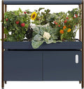 Rise Gardens 1 Level Garden Hydroponic Indoor Garden Kit with LED Grow Light Charcoal Color