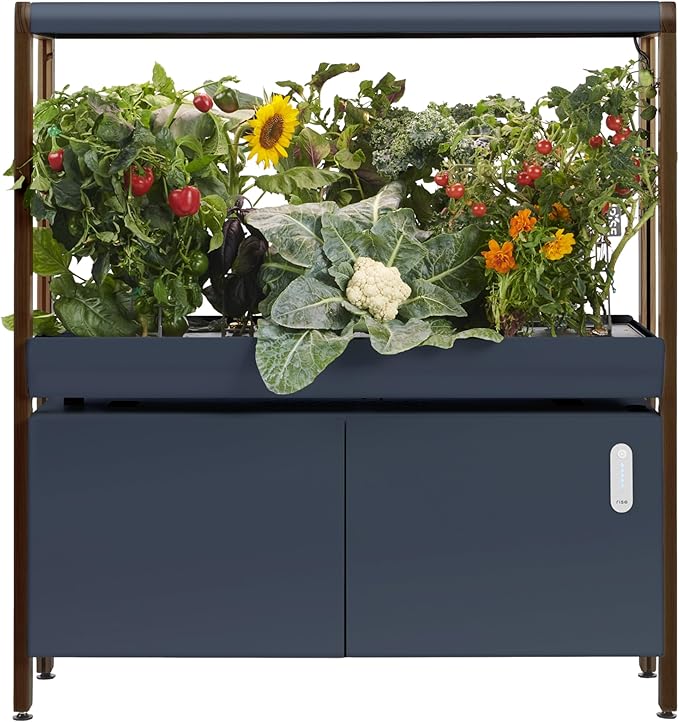 Rise Gardens 1 Level Garden Hydroponic Indoor Garden Kit with LED Grow Light Charcoal Color