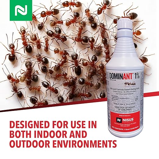 Dominant 1% Liquid Ant Bait Borax-Based Formula Attracts and eliminates Sweet-Feeding Ants Effective for Large and Multi-Queen Colonies Indoor and Outdoor Use 1 Quart
