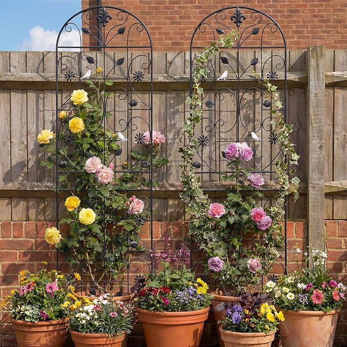 Trellis for Climbing Plants Outdoor （2 Pack 70.8x19.6-inch） Generic Metal Garden Trellis Rustproof Easy Assembly（Black）
