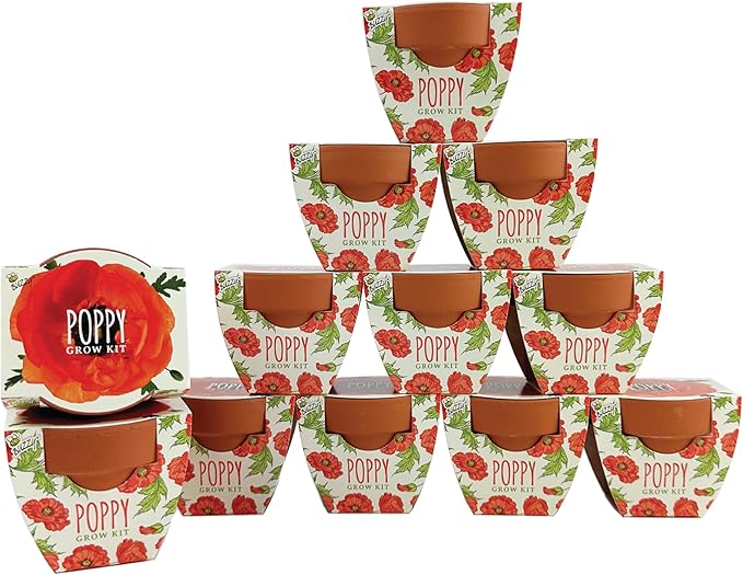 BUZZY Seeds 12-Pack Poppy Grow Kit – Mini Terracotta Pots with Poppy Seeds and Growing Medium – Bulk Gardening Gifts Wedding Favors Classroom Activities and Party Favor Flower Kits