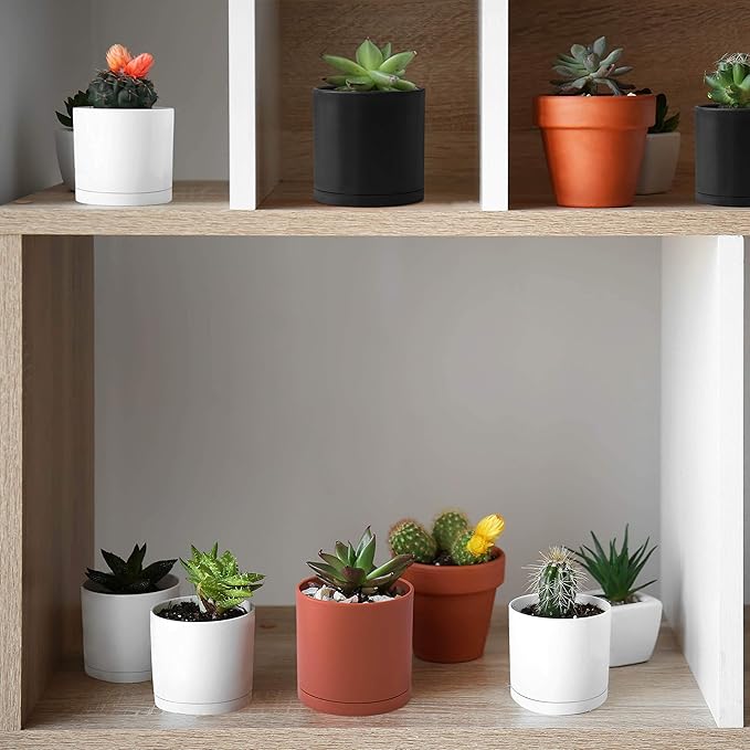 D'vine Dev 10 Pack Plastic Plant Pots for Plants 6.5/6/5.5/5/4.5/4/3.5/3/2.5/2 Inch Indoor Planters Cylindrical Succulent Pot with Drainage Hole and Saucer White 74-S-A