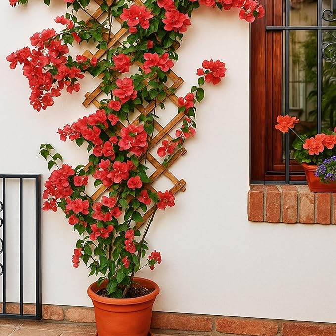 Expandable Wooden Lattice Trellis Outdoor Decorative Fence Panels for Climbing Plants Vine Ivy Rose Support Balcony Wall Decor Yard Landscape Edging Patio Divider Animal Barrier (3 Pack)