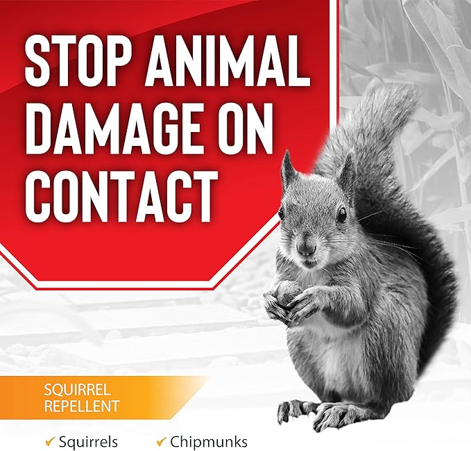 Squirrel Stopper Repellent Spray - Chipmunk &amp Squirrel Deterrent for Bird Feeders Garden &amp Homes - Weather-Resistant Formula - Scent Taste &amp Touch Barrier - Safe Around Kids &amp Pets -