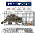 32 Humane Live Animal Trap Collapsible Heavy Duty Cage for Raccoon Possum Cat Trap for Stray Cats Armadillo Groundhog Skunk Squirrel &amp Rabbit Professional Catch &amp Release by LifeSupplyU