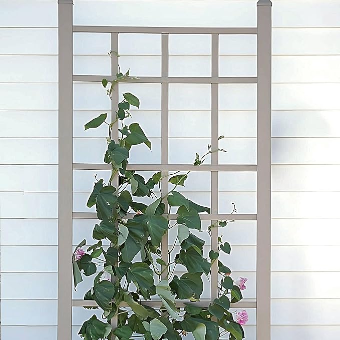 Dura-Trel Cottage 28 by 66 Inch Heavy Duty Weather Stabilized PVC Vinyl Outdoor Garden Patio Trellis with Ground Anchors Mocha