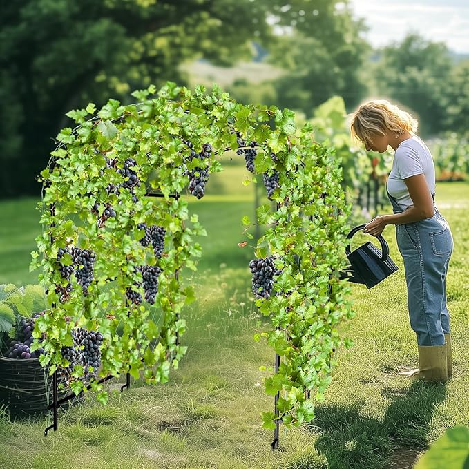 unho Black Iron Garden Arch Trellis for Climbing Plants 41*64*63inch Rustic Archway Arbor Tunnel for Vegetables Cucumber Raised Bed
