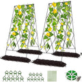DoCred Cucumber Trellis 2 Pack Metal Foldable A Frame Garden Trellis for Raised Bed Climbing Plants Vegetables Includes Plant Support Clips Twist Ties Plastic Ties A Frame Trellis Black