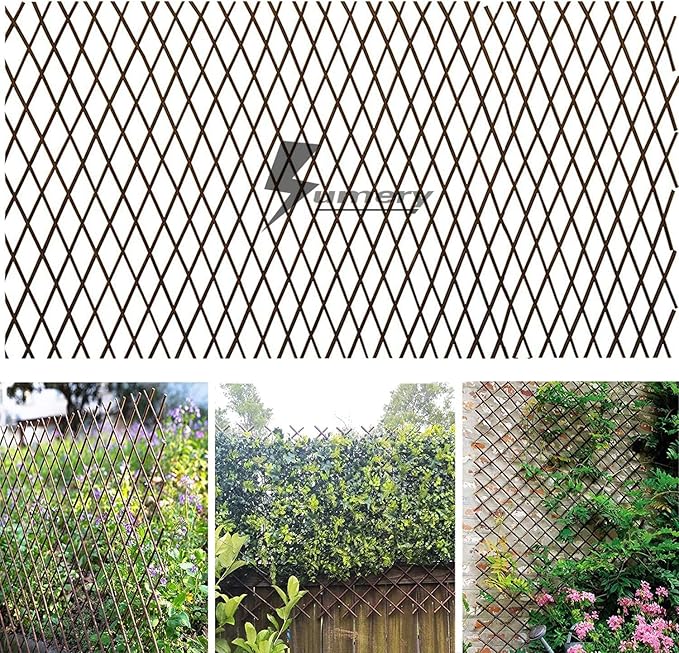 Nature Willow Trellis Expandable Plant Support Plant Climbing Lattices Trellis Willow Expandable Trellis Fence for Climbing Plants Support 36x92 InchDouble Panel (1 Willow Wicker Fence)