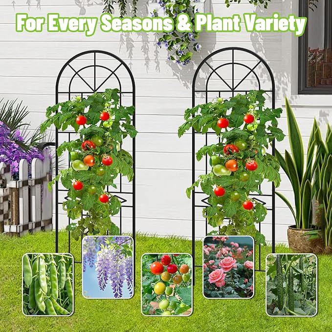 Garden Trellis for Climbing Plants 3 Pack 38Wx 64.6H Rustproof Flower Trellis with Black Coating Outdoor Climbing Rose Trellis Cucumbers Support for Courtyards Lawns (Black-Linear Shape 3 Pieces)