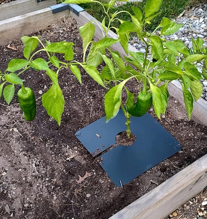 Plant Slip Square Reusable pre-Cut Weed Blocking Sheets - Pack of 10