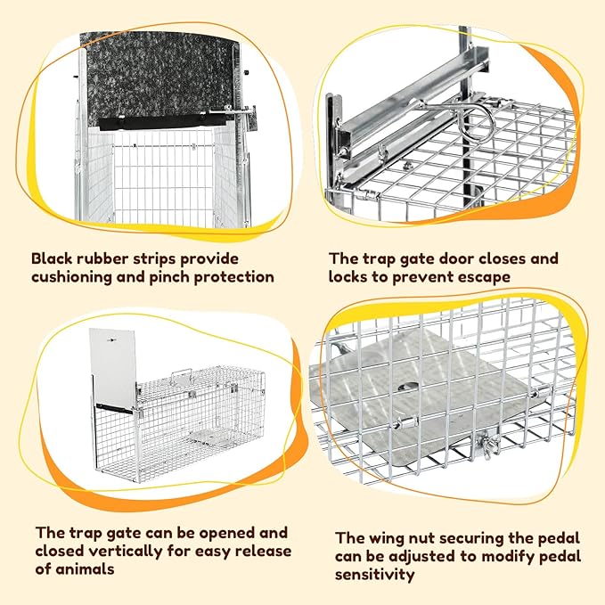 32 Inch Animal Trap CageFolding Live Animal Trap Cage for Stray CatsRaccoonsArmadillos and Rabbits