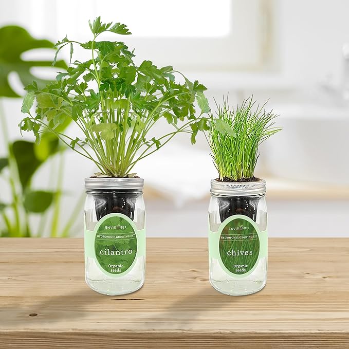 2-Pack Hydroponic Mason Jar Herb Garden Kit Indoor Herb Garden Self-Watering Starter Kit New Christmas Gift for Mom (CilantroChives)