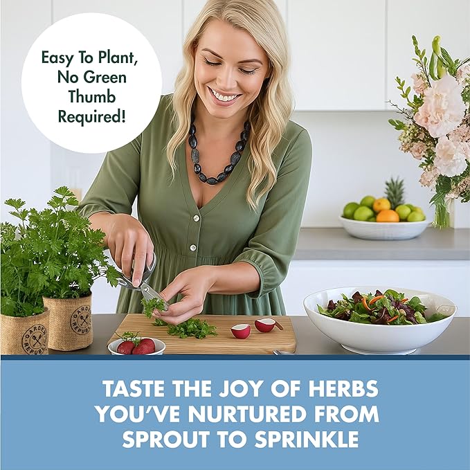 Garden Republic Indoor Herb Garden Kit - DIY Herb Plants Starter Economy Kit - Grow Kits for Growing Herbs Indoors Kitchen Balcony Window Sill - Basil Parsley Cilantro