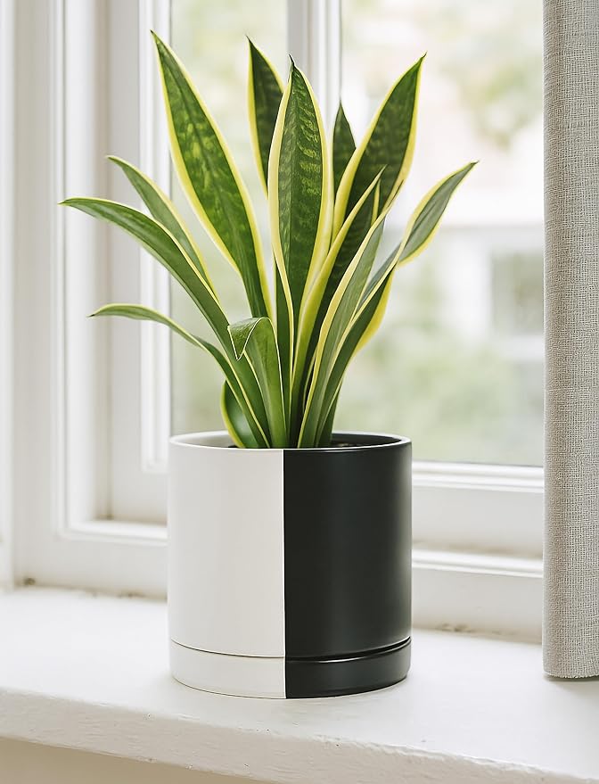 D'vine Dev 8.2 Inch Ceramic Planter Pot with Drainage Hole and Saucer Indoor Cylinder Round Planter Pot Split Monochrome Black &amp White 94-O-D-0