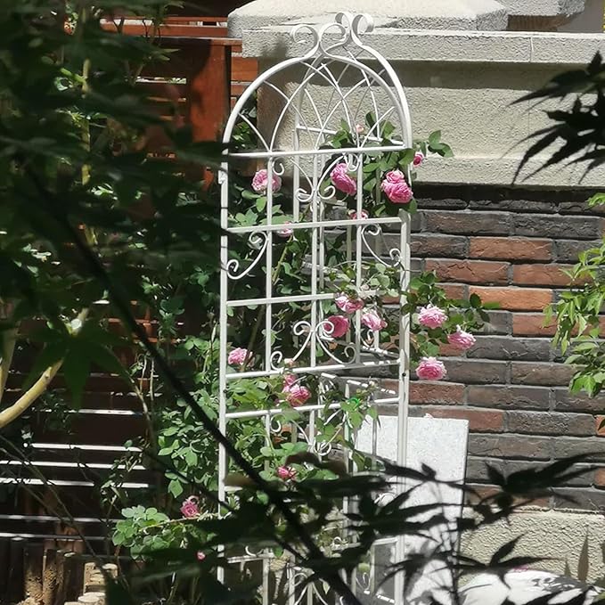 4 Pack Metal Garden Trellis 71 x 19.7 Rustproof Trellis for Climbing Plants Outdoor Flower Support (Cream White)