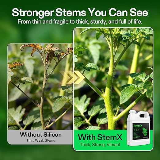 VIVOSUN StemX (0-0-2) Silica for Plants Soluble Liquid Silicon Plant Supplement Fertilizer Nutrient Solution for Strong Stems and Healthy Leaves Boost Resilience pH Balance 32 oz (Pack of 2)