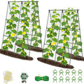 Cucumber Trellis for Raised Bed 32 L x 48 H A-Shape 2 Pack 11mm Garden Trellis for Climbing Plants Outdoor Metal Arch Trellis for Vegetables Plant Support for Tomato Pea Zucchini Grape Flowers
