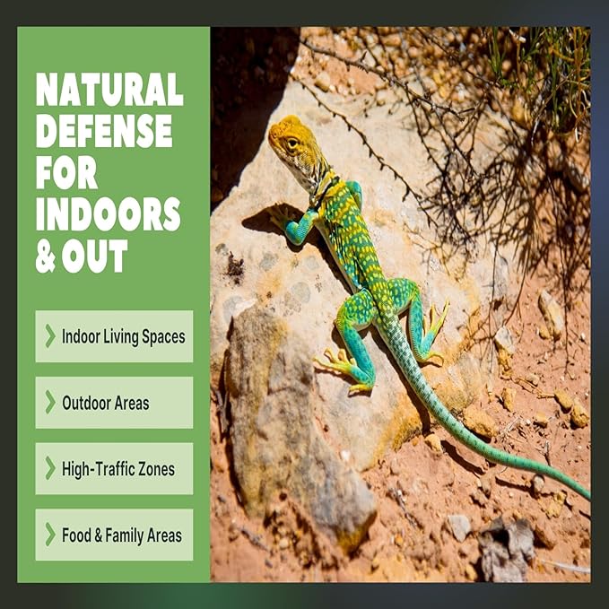 All-Natural Lizard &amp Gecko Repellent Spray (Outdoor/Indoor) – Reptile Deterrent for Homes Gardens Patios