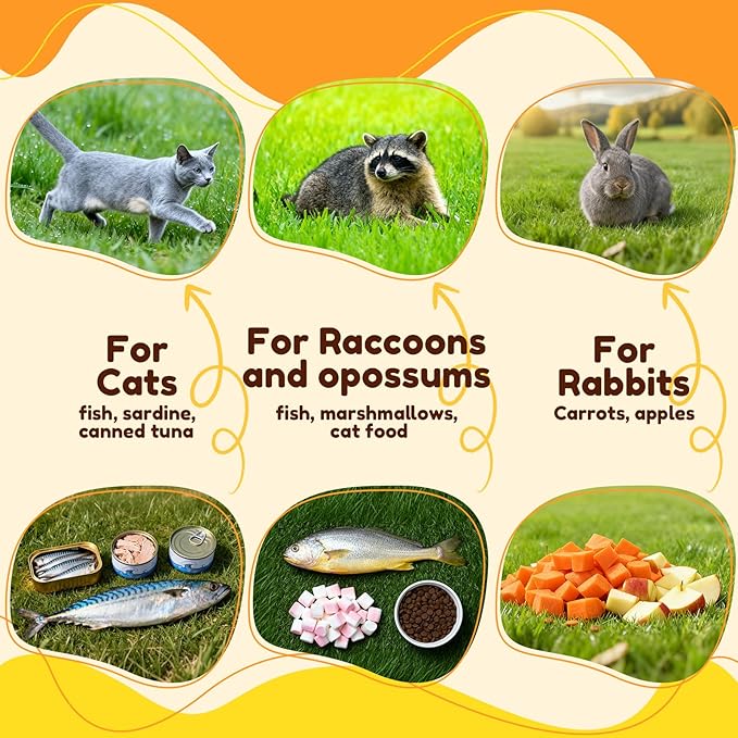 32 Inch Animal Trap CageFolding Live Animal Trap Cage for Stray CatsRaccoonsArmadillos and Rabbits