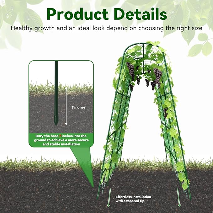 Cucumber Trellis - 62.4*50 Cucumber Trellis for Raised Bed with Plastic-Coated Steel Pipe U-Shape Garden Trellis for Climbing Plants Garden Trellis for Cucumbers Beans(Green)