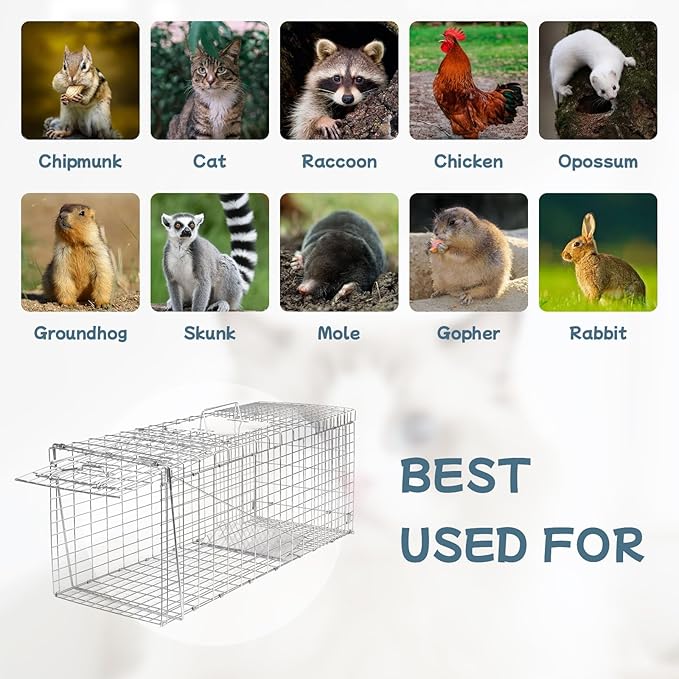 Animal Trap 32x10x12 Cage Trap Heavy Duty Folding Raccoon Traps Humane Cat Trap for Stray CatsRabbitsSquirrelsOutdoor Small Animal TrapHumane Catch &amp Release