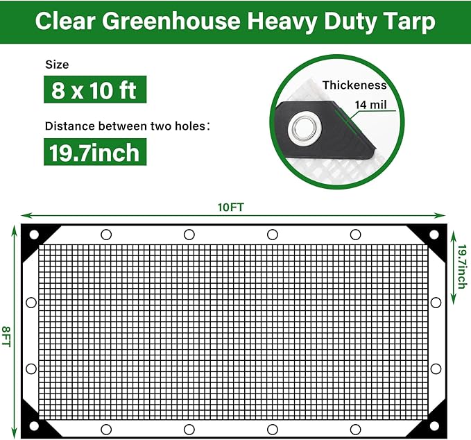 Berlune 3 Pack Clear Greenhouse Heavy Duty Tarp 8 x 10 ft Clear Waterproof Cover 14 Mil Plastic Mesh Cover UV Resistant Poly Tarp with Grommets for Gardening Farming Nursery Outdoor Event