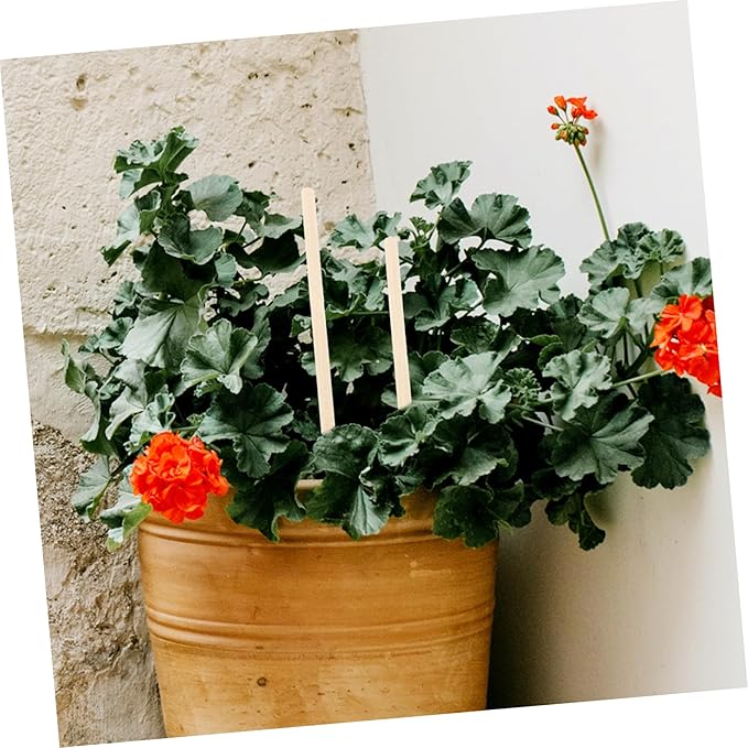 BESTonZON 50pcs Climbing Plant Trellis for Garden Support Natural and Stable Plant Stakes for Vines Flowers and Vegetables Easy Installation for Healthy Growth