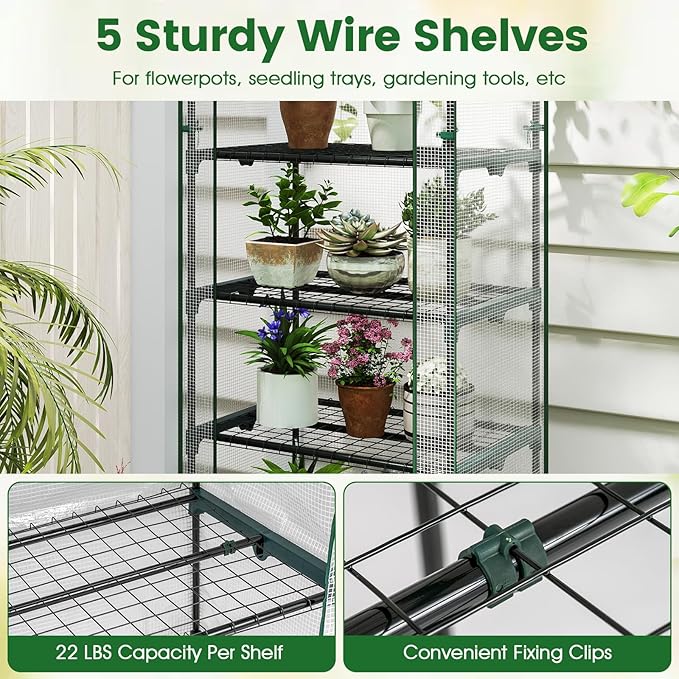 S AFSTAR Portable Greenhouse with Shelves 27 x 19 x 75 Green House with 5 Tiers Mesh Shelves &amp Roll-Up Door Small Greenhouse Mini Growing House Greenhouses for Outdoors Garden Patio Backyard