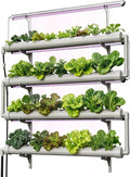 NFT Hydroponics Growing System36 Pods Wall-Mounted Indoor GardenFull Spectrum Grow Lights and Powerful Water Recycling SystemOpaque PVC-U Hydroponic PipesSuitable for Leafy Greens