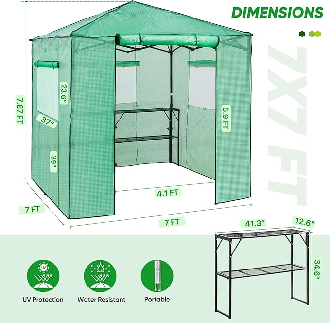EAGLE PEAK 7x7 Portable Walk in Greenhouse Pop Up Indoor Outdoor Greenhouse Green House Kit with Zippered Roll-Up Doors and Windows + Mesh Lining &amp 2 Foldable Shelves PE Cover Clear/Green