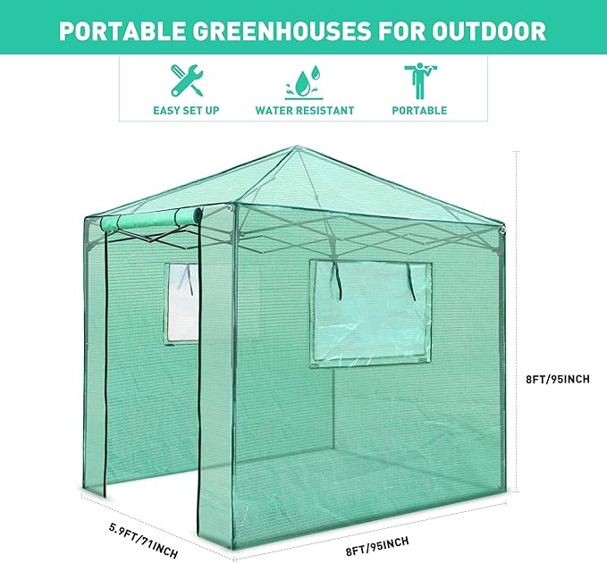 PexFix 8'x 8' Portable Walk-in Greenhouse Easy Setup Indoor/Outdoor 2 Roll-Up Mesh Windows Roll-Up Zipper Door Green