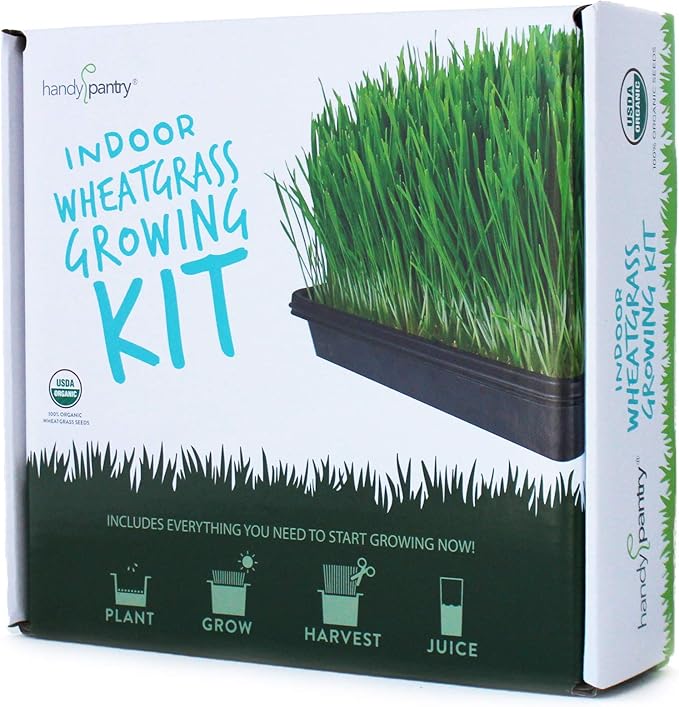 Organic Wheatgrass Growing Starter Kit - Grow &amp Juice Wheat Grass - Includes Non-GMO Organic Wheatgrass Seeds - for Healthy Wheatgrass Shots Home Garden and Cat Grass