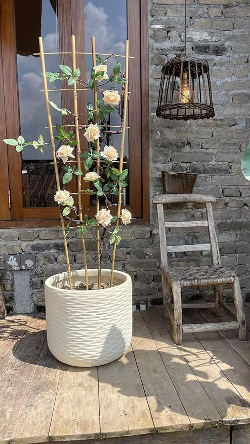 Natural Bamboo Trellis 3Feet3PackFan-Shaped Plant Support Trellis for Outdoor and Indoor Potted Climbing PlantsVegetables Cucumber Tomato Hoya