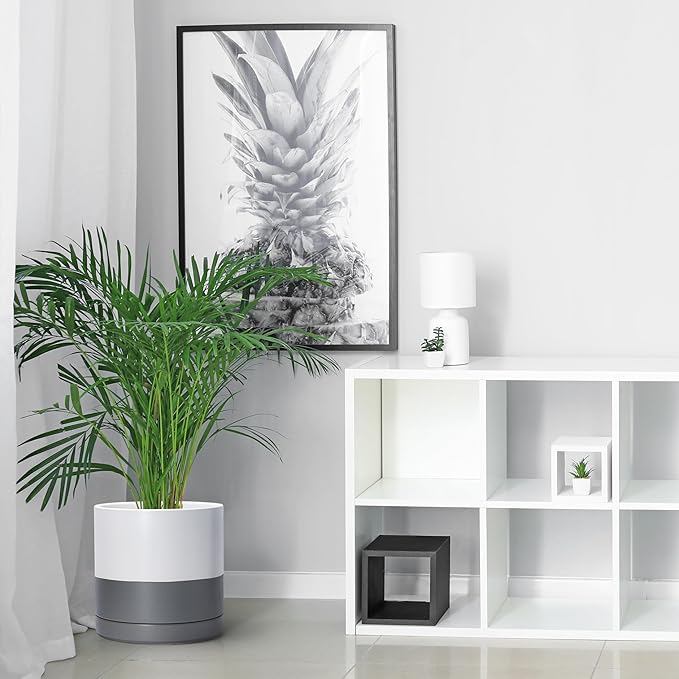 D'vine Dev 10 Inch Ceramic Planter Pot with Drainage Hole and Saucer Indoor Cylinder Round Planter Pot White/Speckled Grey 94-O-E-6