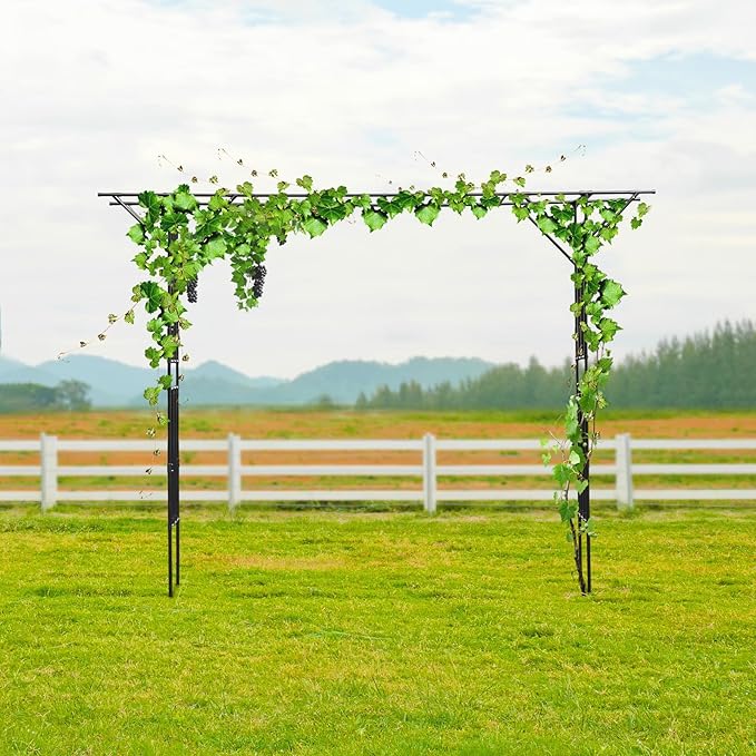 Sturdy Steel Outdoor Garden Trellis &amp Wedding ArchOutdoor Metal Climbing Plant Trellis for Vines FlowersGrapesGarden Arch11.8ft x 8.9ft (Black)