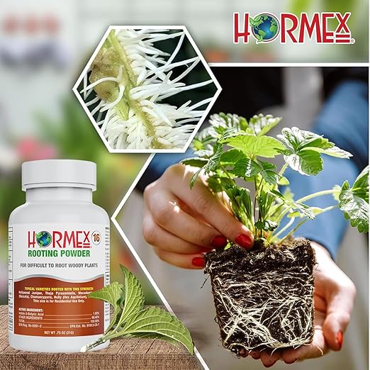 Hormex Rooting Powder #16 &amp Rooting Cubes Combo - Rooting Hormone for Hardwood Cuttings &amp Organic Peat Moss Coco Plugs - Fast Healthy Root Growth for Propagation Hydroponics &amp Seed Star
