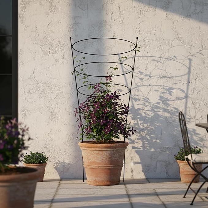 Ovals Wrought Iron Garden Trellis Modern Retro Vertical Plant Support Freestanding for Vines 60.75 H x 30.5 W Black Powdercoated
