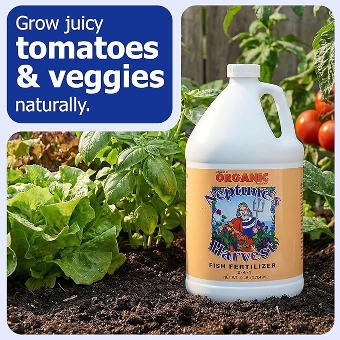 Neptune's Harvest Fish Fertilizer (2-4-1) - Organic Liquid Plant Fertilizer - Fish Hydrolysate for Vegetables Flowers Fruit Trees Grass - Indoor and Outdoor Plant Food (Gallon)
