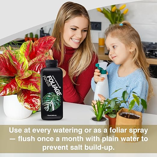 Growth Technology GT Foliage Focus - Liquid Indoor Plant Food for Houseplants Tropical Plants Aroids Ferns and Palms – Concentrated Formula for Vibrant Leaves and Dense Foliage – 1 Quart (946 mL)