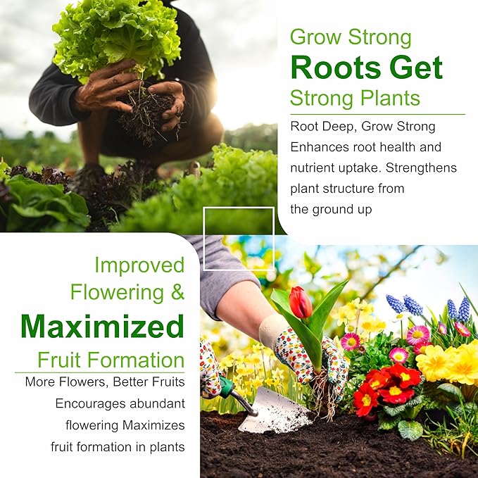 Go Garden Zinc Sulphate (33%) Fertilizers for Potted and Gardening Plant - Fertilizer for All Types of Plants 900 G Powder