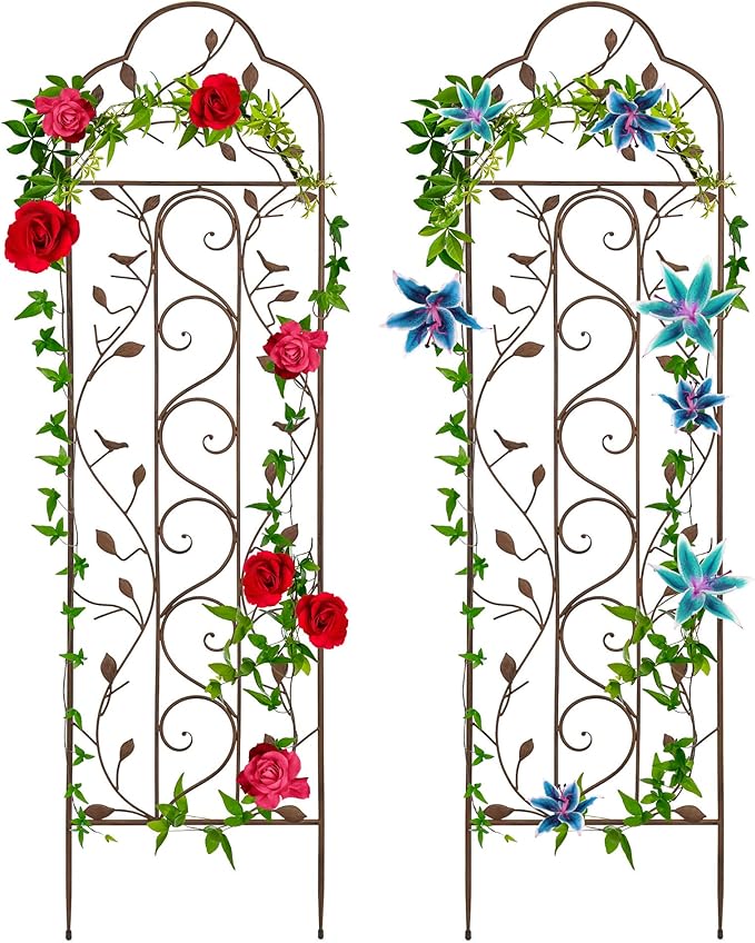 Best Choice Products Set of 2 60x15-inch Iron Arched Garden Trellis w/Branches Birds for Lawn Garden Backyard Climbing Plants