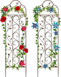 Best Choice Products Set of 2 60x15-inch Iron Arched Garden Trellis w/Branches Birds for Lawn Garden Backyard Climbing Plants