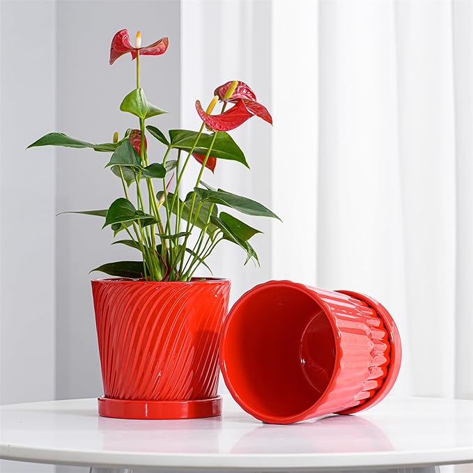 Ton Sin Plant Pots 6 Inch Flower Pots for PlantsCeramic Planter with Drainage HolesIndoor Planter Pots with SaucerOutdoor Garden Pots (Red 4 Pack)