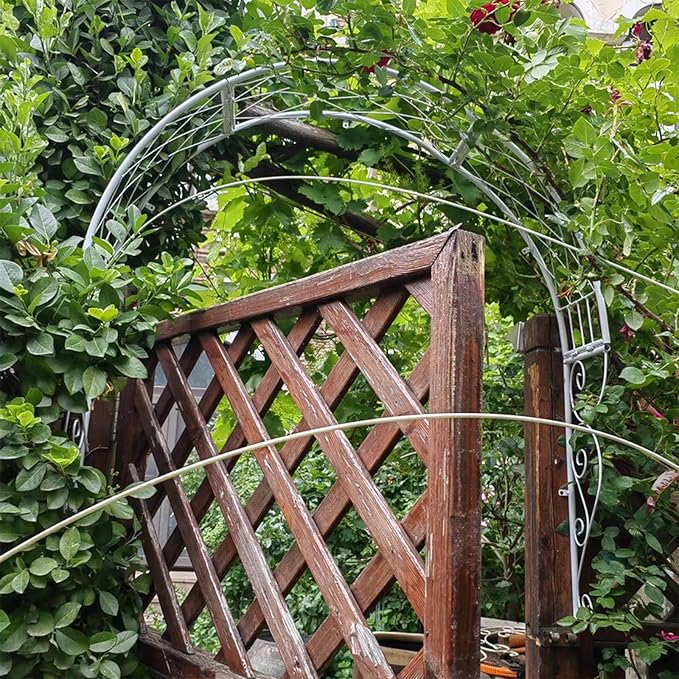 Metal Garden Arch Trellis Wall Mounted Rose Arch Garden Trellis for Windows Doors Entrances for Climbing Plants Garden ArchwayWindow Shade Frame(White)