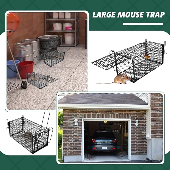 Qualirey 6 Pcs Humane Rat Trap Small Chipmunk Mouse Squirrel Cage Rodent Animal Voles Hamsters Cage Catch and Release Trap for Home Garden Indoor Outdoor(Black12 x 5.5 x 5.5 Inch)