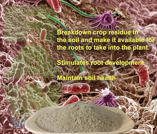 RAW Microbes Grow 25lb - Plant Growth Enhancer with Endomycorrhizae and Rhizosphere Bacteria