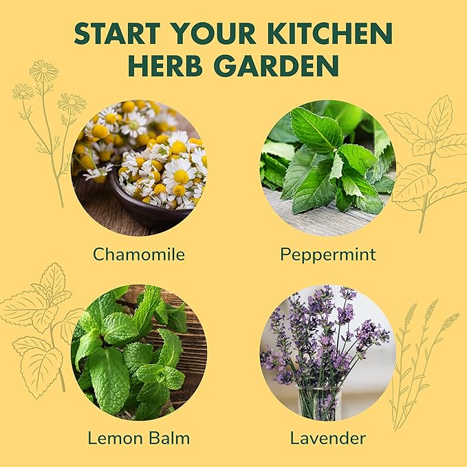 Indoor Herb Garden Seed Starter Kit - Herbal Tea Growing Kits Grow Medicinal Herbs Indoors Seeds for Planting Soil Plant Markers Pots Infuser Planter Box Gardening Gifts for Women